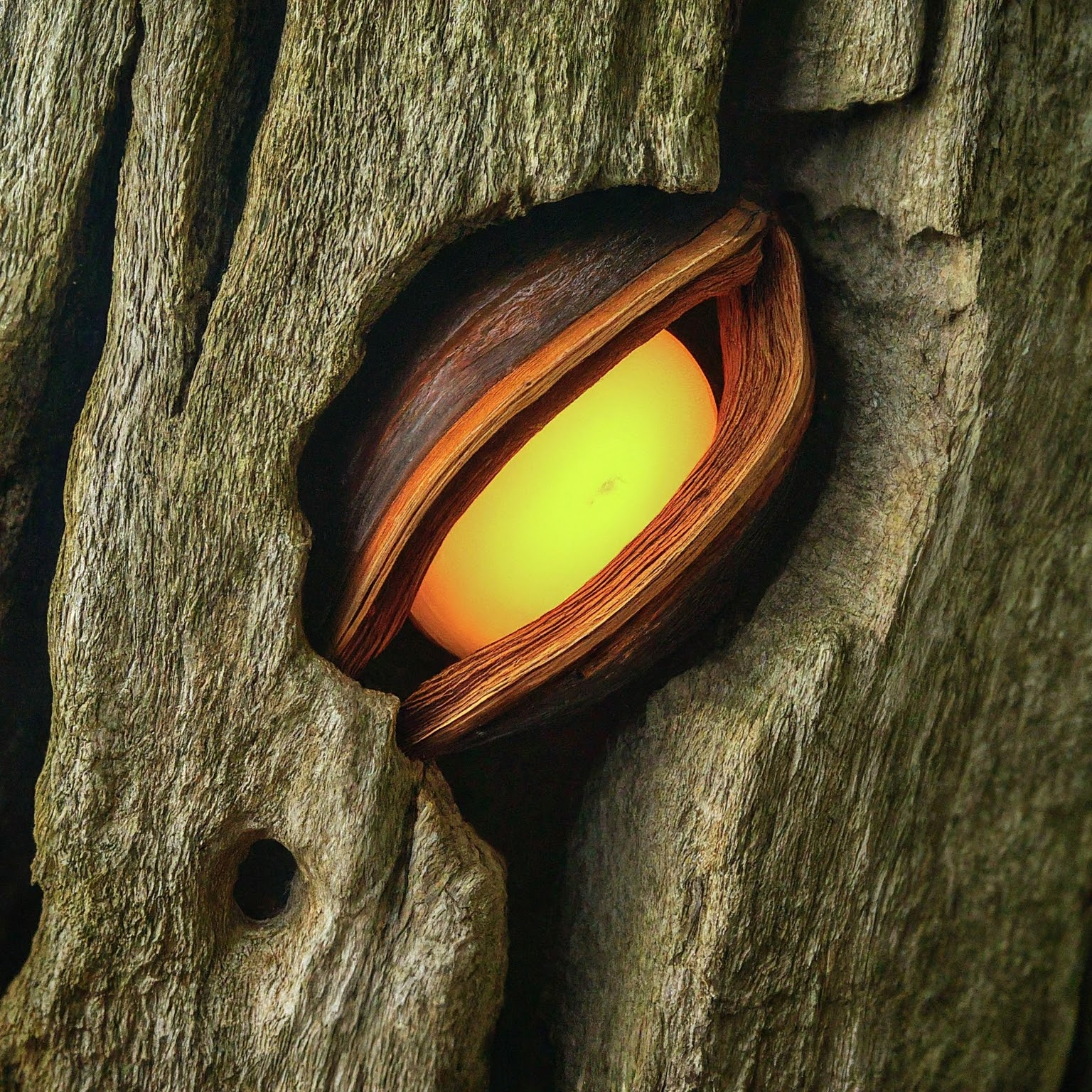 Image for blog post titled 'The Seed: Unlocking Humanity's Potential & Global Intelligence'